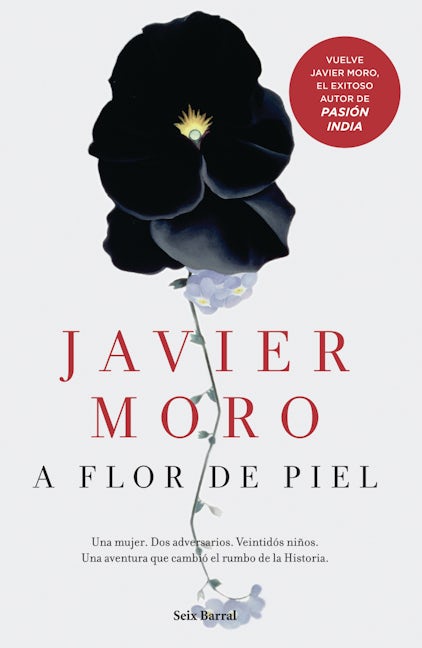 Book cover image for A flor de piel (Novela) / On the Surface (A Novel) ISBN: 9786070728730